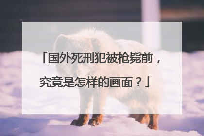 国外死刑犯被枪毙前,究竟是怎样的画面?