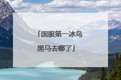 国服第一冰鸟黑马去哪了