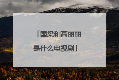 国梁和高丽丽是什么电视剧