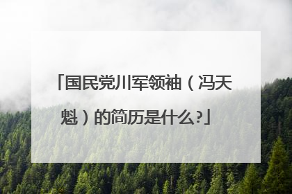 国民党川军领袖（冯天魁）的简历是什么?