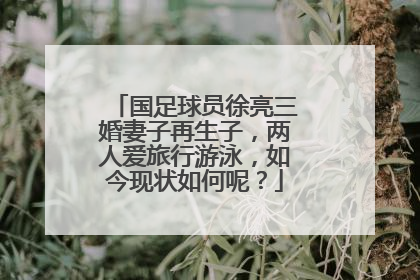 国足球员徐亮三婚妻子再生子，两人爱旅行游泳，如今现状如何呢？