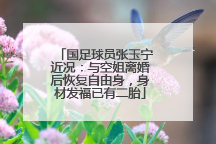 国足球员张玉宁近况:与空姐离婚后恢复自由身,身材发福已有二胎