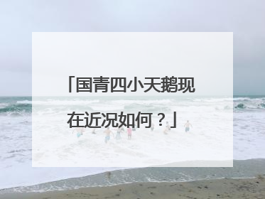 国青四小天鹅现在近况如何?