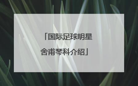 国际足球明星舍甫琴科介绍