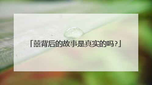 囍背后的故事是真实的吗?