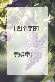 四个字的男明星