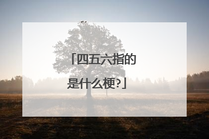 四五六指的是什么梗?