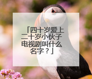 四十岁爱上二十岁小伙子电视剧叫什么名字?