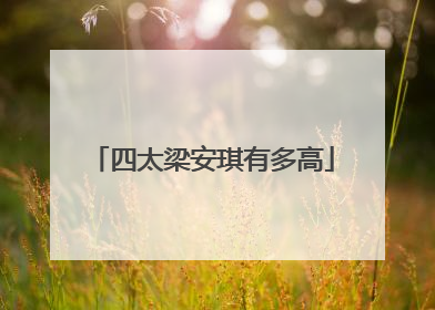 四太梁安琪有多高