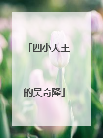 四小天王的吴奇隆