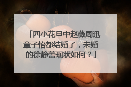 四小花旦中赵薇周迅章子怡都结婚了，未婚的徐静蕾现状如何？