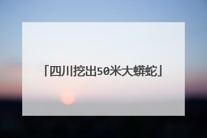 四川挖出50米大蟒蛇