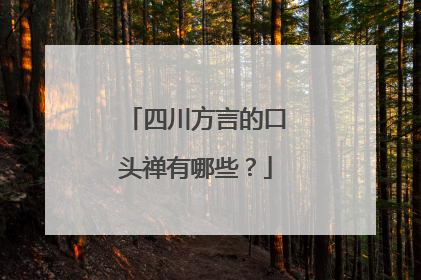 四川方言的口头禅有哪些?