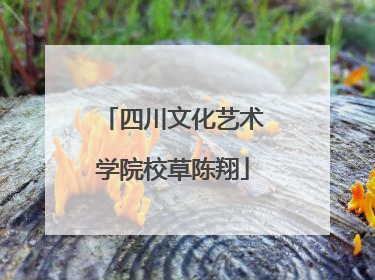 四川文化艺术学院校草陈翔