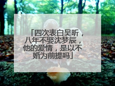 四次表白吴昕,八年不娶沈梦辰,他的爱情,是以不婚为前提吗