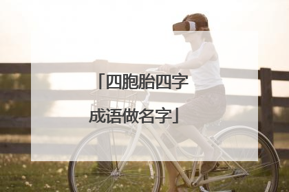 四胞胎四字成语做名字