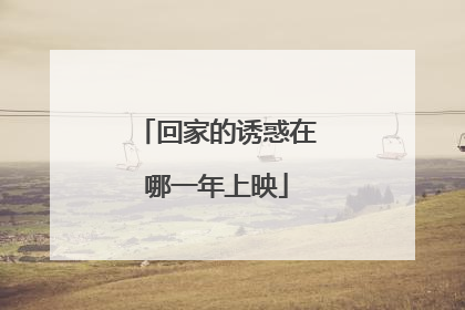 回家的诱惑在哪一年上映