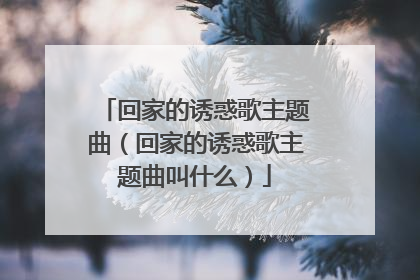 回家的诱惑歌主题曲(回家的诱惑歌主题曲叫什么)