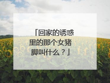 回家的诱惑里的那个女猪脚叫什么？