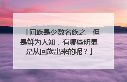 回族是少数名族之一但是鲜为人知，有哪些明显是从回族出来的呢？