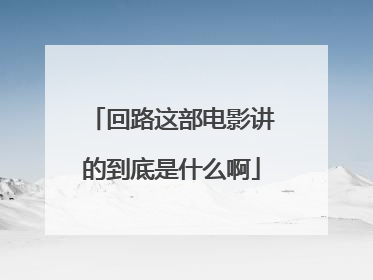 回路这部电影讲的到底是什么啊
