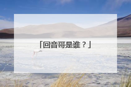 回音哥是谁？