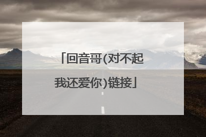 回音哥(对不起我还爱你)链接