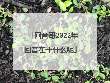 回音哥2022年回音在干什么呢