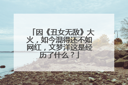 因《丑女无敌》大火，如今混得还不如网红，文梦洋这是经历了什么？