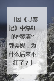 因《寻秦记》中爆红的“琴清”郭羡妮，为什么后来不红了？