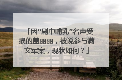 因“剧中哺乳”名声受损的盖丽丽，被说参与满文军案，现状如何？