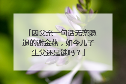 因父亲一句话无奈隐退的谢金燕,如今儿子生父还是谜吗?