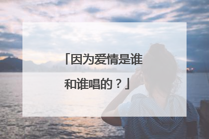 因为爱情是谁和谁唱的？