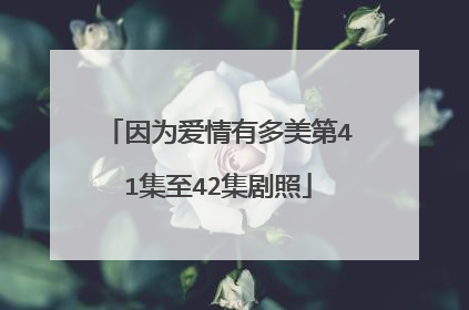 因为爱情有多美第41集至42集剧照