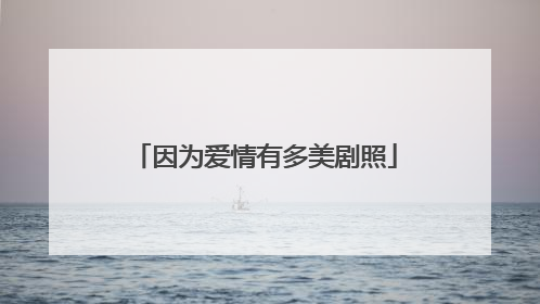 因为爱情有多美剧照
