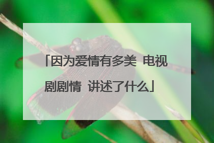 因为爱情有多美 电视剧剧情 讲述了什么