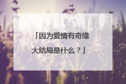 因为爱情有奇缘大结局是什么?