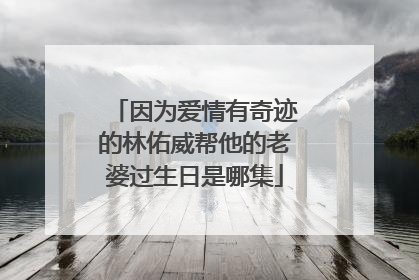 因为爱情有奇迹的林佑威帮他的老婆过生日是哪集