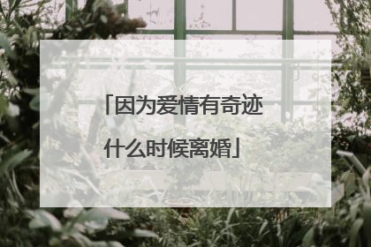 因为爱情有奇迹什么时候离婚