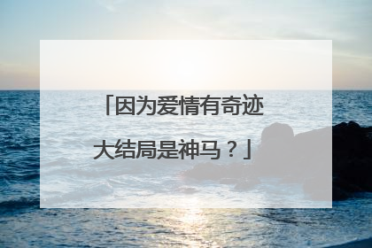 因为爱情有奇迹大结局是神马?