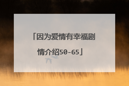 因为爱情有幸福剧情介绍50-65