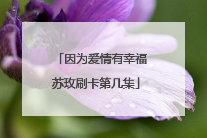 因为爱情有幸福苏玫刷卡第几集