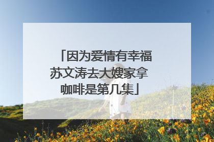 因为爱情有幸福苏文涛去大嫂家拿咖啡是第几集