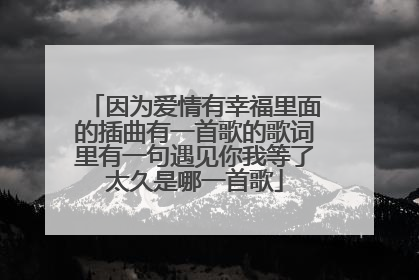 因为爱情有幸福里面的插曲有一首歌的歌词里有一句遇见你我等了太久是哪一首歌