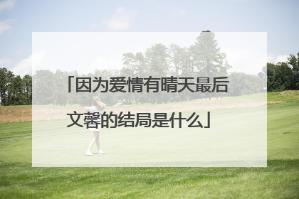 因为爱情有晴天最后文馨的结局是什么
