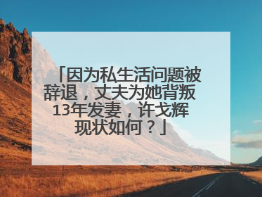 因为私生活问题被辞退，丈夫为她背叛13年发妻，许戈辉现状如何？