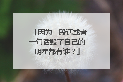 因为一段话或者一句话毁了自己的明星都有谁?