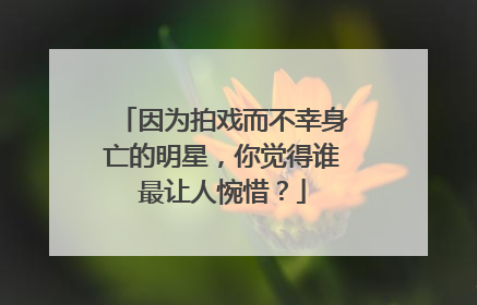 因为拍戏而不幸身亡的明星,你觉得谁最让人惋惜?