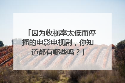 因为收视率太低而停播的电影电视剧，你知道都有哪些吗？