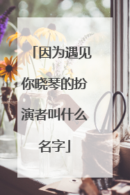 因为遇见你晓琴的扮演者叫什么名字